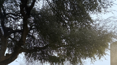 20 Year Kick Off Photo